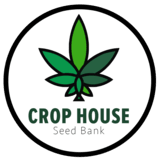 Crop House Seed Bank, cannabis seeds in Thailand
